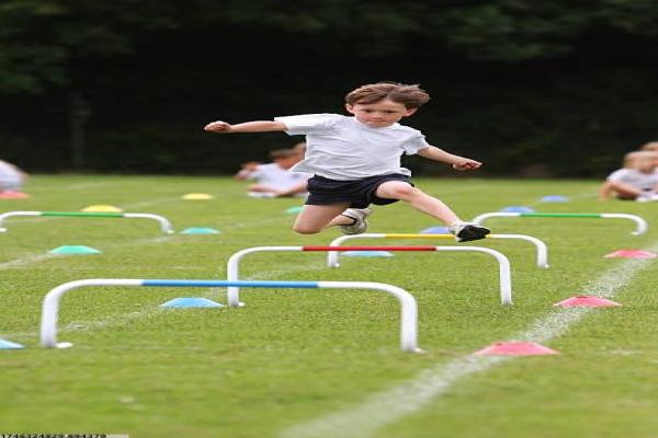 六安蔚智体育培训机构全面简介